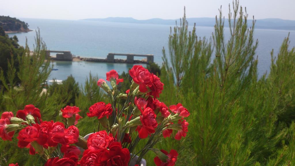 Apartmani Sea View Lokva Rogoznica Habitación foto